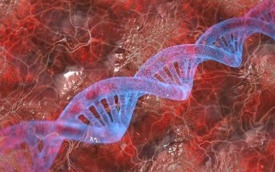 Un test genómico mejora el tratamiento contra el cáncer de mama HER2-positivo