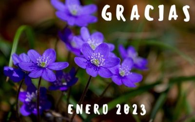 Agradecimientos (Enero 2023)
