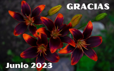 Agradecimientos (Junio 2023)