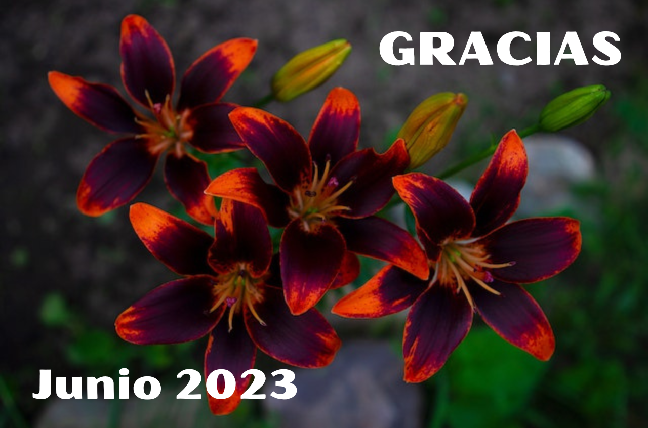 Junio 2023