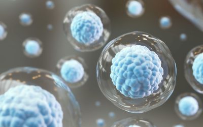 Primer ensayo clínico con terapia CAR-T para cáncer de mama metastásico HER2+