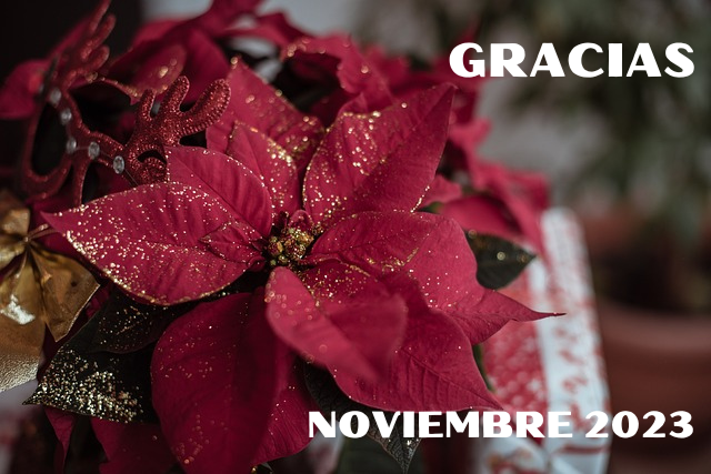 Noviembre 2023
