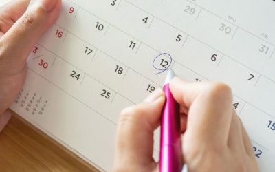 Repaso al 2023 en la AECMM