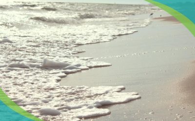AECMM. Abierto por Vacaciones