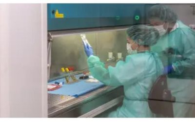 Oncólogos piden a Sanidad agilizar la financiación de fármacos innovadores en cáncer