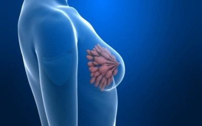 De la academia a la clínica: la importancia de la investigación observacional en cáncer de mama