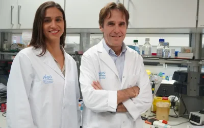 Desarrollan una innovadora terapia CAR-T que activa una doble respuesta antitumoral en modelos preclínicos de cáncer de mama HER2+