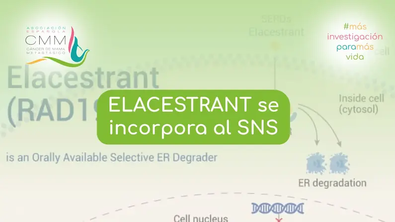 Portada para el artículo "Elacestrant se incorpora al Sistema Nacional de Salud"