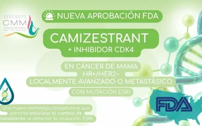 Aprobación de FDA de Camizestrant con inhibidor CDK4/6